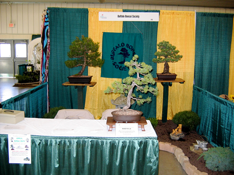 Bonsai Plants on The Buffalo Bonsai Society At Plantasia 2009